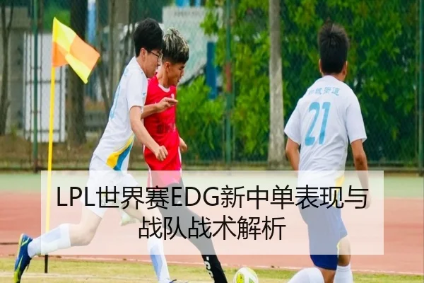 LPL世界赛EDG新中单表现与战队战术解析 - NANGONG